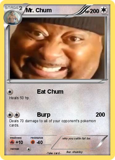 Pokemon Mr. Chum