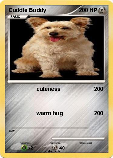 Pokemon Cuddle Buddy