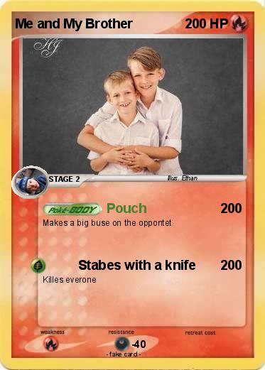 Pokemon Me and My Brother