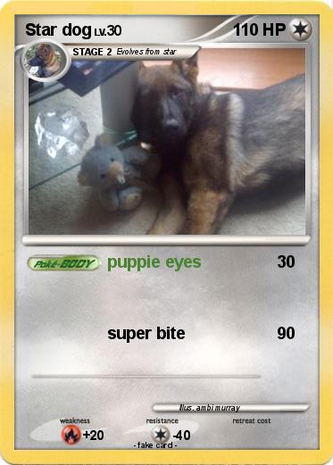 Pokemon Star dog