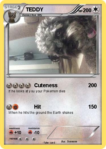 Pokemon TEDDY
