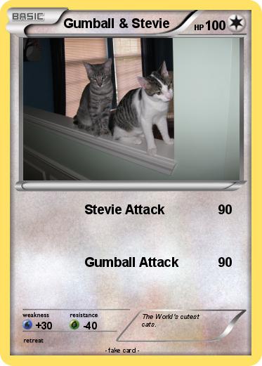Pokemon Gumball & Stevie