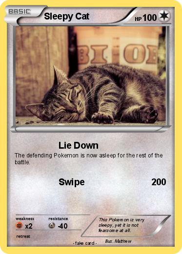 Pokemon Sleepy Cat