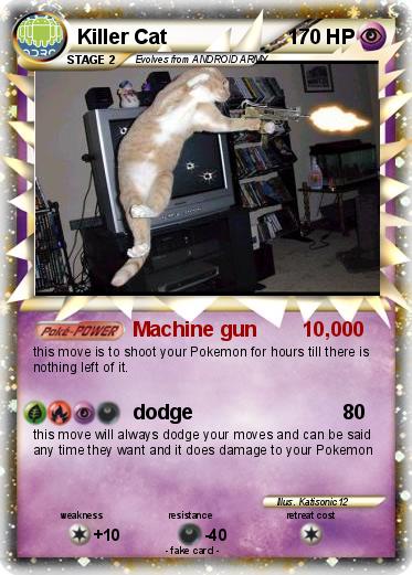 Pokemon Killer Cat