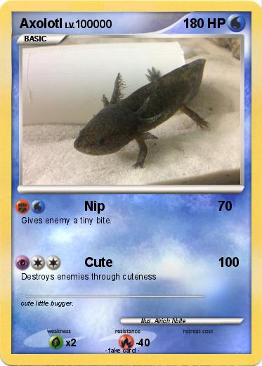 Pokemon Axolotl