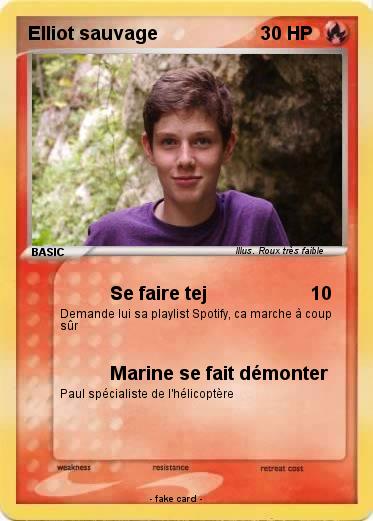 Pokemon Elliot sauvage