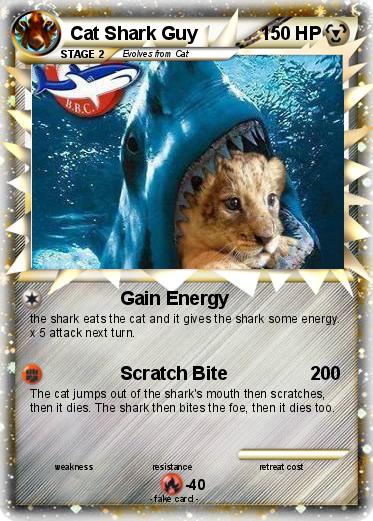 Pokemon Cat Shark Guy