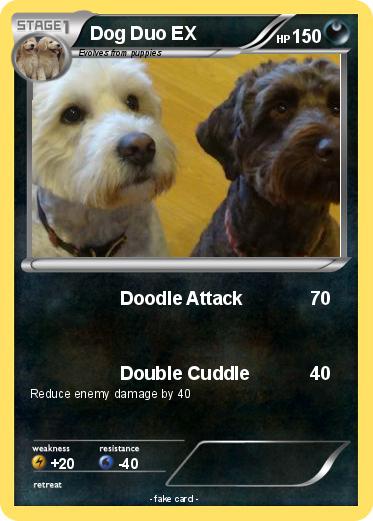 Pokemon Dog Duo EX