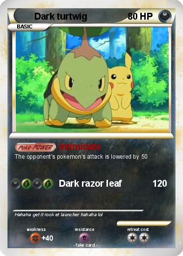 Pokemon Dark turtwig