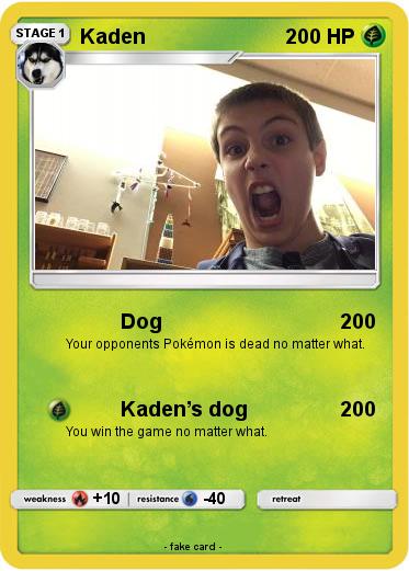 Pokemon Kaden