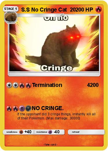 Pokemon S.S No Cringe Cat  20