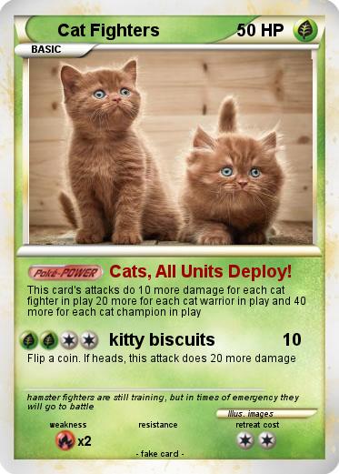Pokemon Cat Fighters