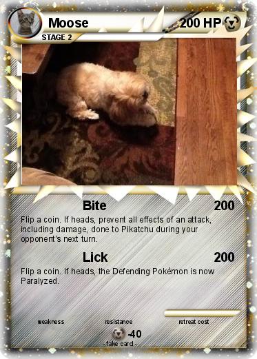 Pokemon Moose