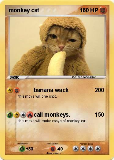 Pokemon monkey cat