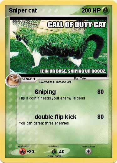 Pokemon Sniper cat