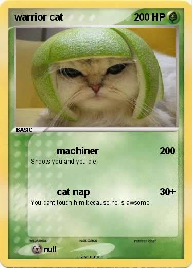 Pokemon warrior cat