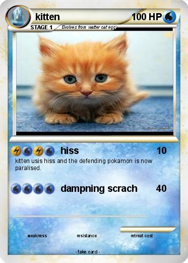Pokemon kitten