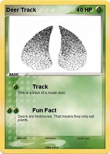 Pokemon Deer Track