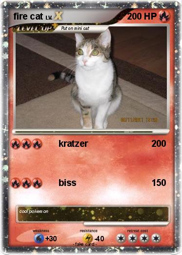 Pokemon fire cat