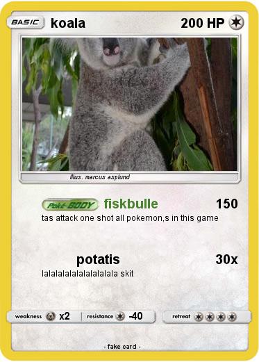 Pokemon koala
