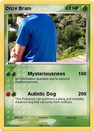Pokemon Onze Bram