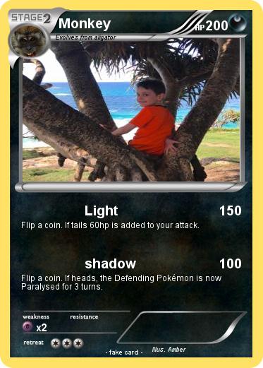 Pokemon Monkey