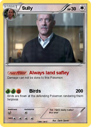 Pokemon Sully