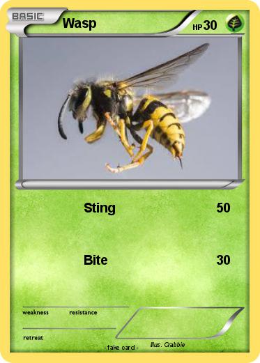 Pokemon Wasp