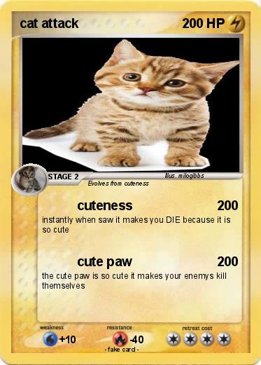 Pokemon cat attack