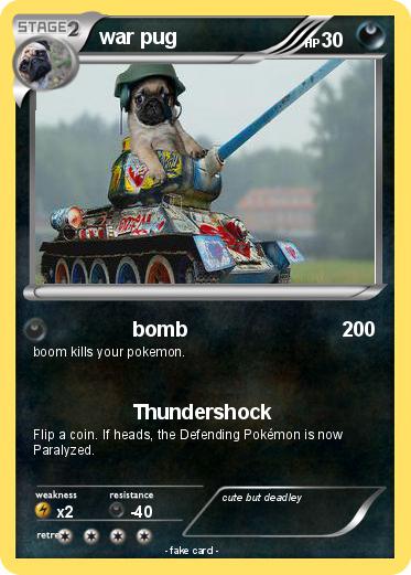 Pokemon war pug