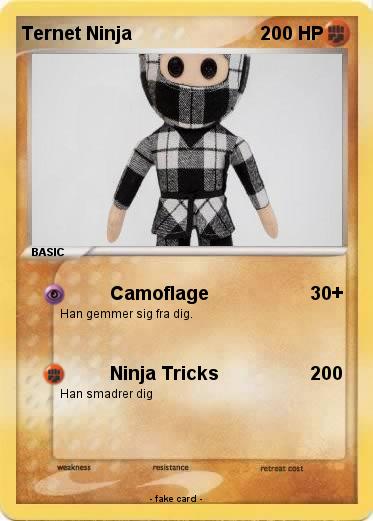 Pokemon Ternet Ninja