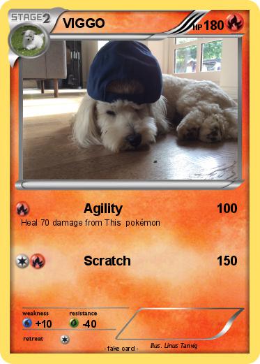 Pokemon VIGGO