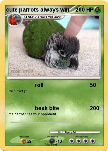 Pokemon cute parrots always win