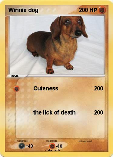 Pokemon Winnie dog