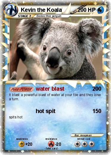 Pokemon Kevin the Koala