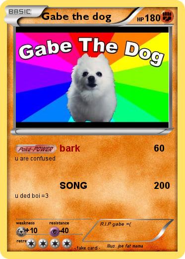 Pokemon Gabe the dog