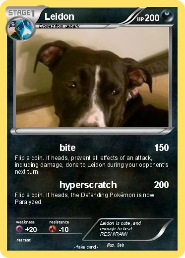 Pokemon Leidon