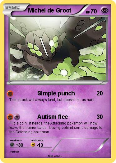 Pokemon Michel de Groot