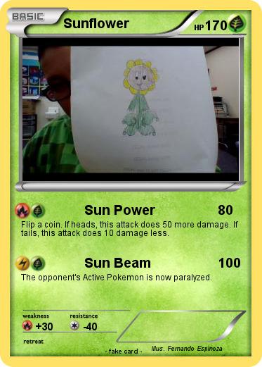 Pokemon Sunflower