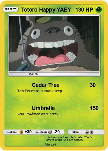 Pokemon Totoro Happy YAEY