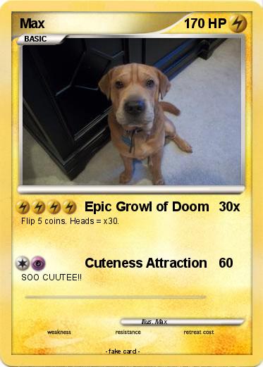 Pokemon Max