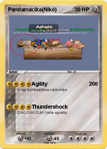 Pokemon Pandamacika(Nikó)