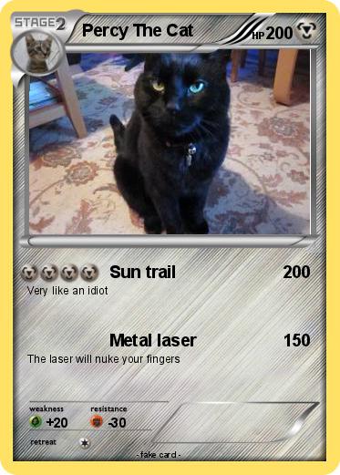 Pokemon Percy The Cat