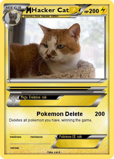 Pokemon Hacker Cat