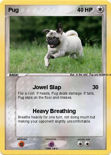 Pokemon Pug