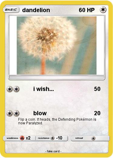 Pokemon dandelion
