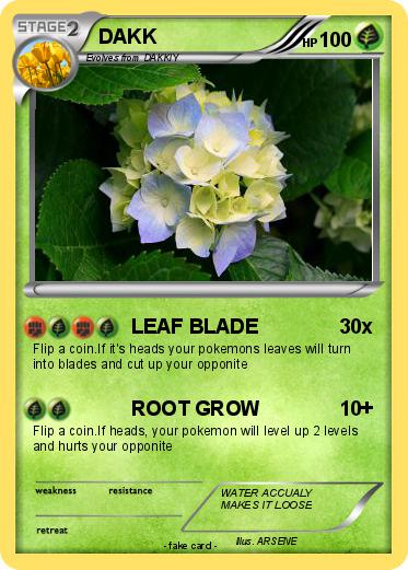 Pokemon DAKK