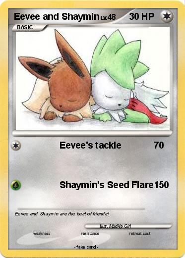 Pokemon Eevee and Shaymin