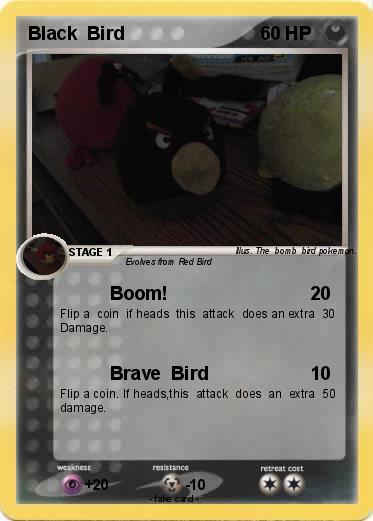 Pokemon Black  Bird