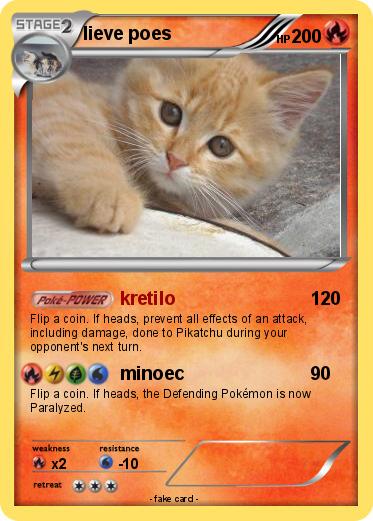 Pokemon lieve poes